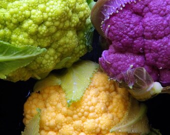 Coliflor multicolor - Brassica oleracea - Vegetal ancestral poco común