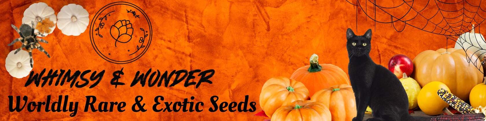 WhimsyWonderSeeds - Etsy 日本