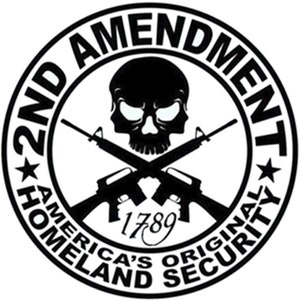 May include: Black and white sticker with a skull and crossbones design. The text reads "2nd Amendment America's Original Homeland Security 1789".