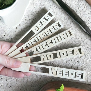 Customizable Garden Stake Set, Vegetable Garden Stakes, Plant Markers, Outdoor Garden Markers, Wooden/Acrylic Garden Markers