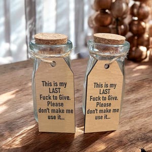 Lustiges Gag-Geschenk Dies ist mein letzter F-CK, der ich verschenkt habe Mini Glas Humorvolles Boss-Geschenk Mitarbeiter Geschenk sarkastischer Humor Geschenk Partygeschenke Bild 1