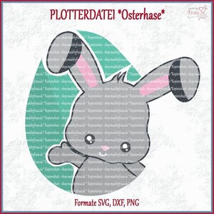 May include: A gray cartoon Easter bunny design with pink inner ears and a light green background. The image includes the text "PLOTTERDATEI *Osterhase*" and "Formate SVG, DXF, PNG".