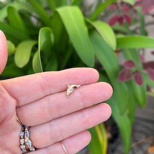 May include: A small gold dolphin-shaped charm or earring featuring a tiny embedded pink gemstone. The dolphin is depicted in a leaping pose with a smooth, polished finish. The piece is presented against a background of green foliage.