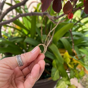 May include: A hand holding two small, gold hoop earrings. The earrings are simple and circular in design. The background features lush green foliage and a glimpse of a potted plant, creating a natural setting. Additional rings are visible on the fingers.