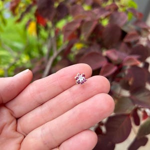 May include: A small, gold-toned flower-shaped stud earring. The center features a cluster of white stones, surrounded by red gemstones. The earring is held in a hand, with a gold ring on the finger. The background is blurred with red and green foliage.