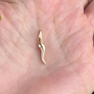Puede incluir: Un colgante dorado con forma de cuerno curvado. El colgante es liso y brillante, con un pequeño lazo en la parte superior para sujetarlo a una cadena. El amuleto de cuerno es un símbolo italiano de buena suerte.
