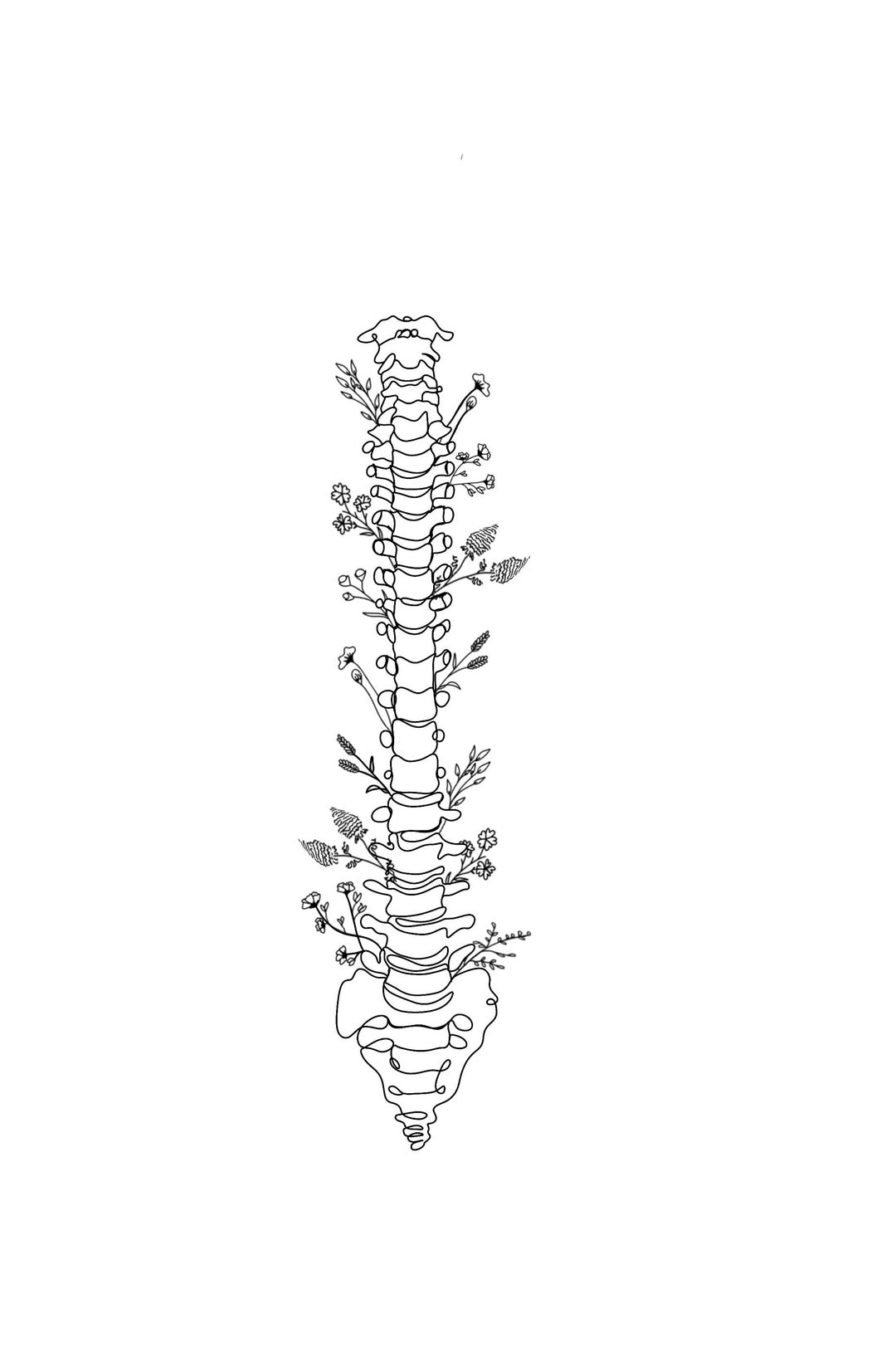 Spine Flower Drawing Etsy