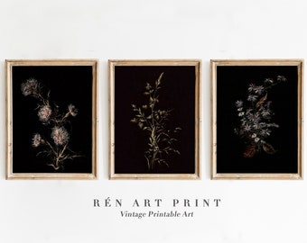 Dark Botanical Gallery Wall Art | Moody Floral Print Set | 3 Piece Wall Art | Dark Academia Print | Digital Download | Printable Wall Art