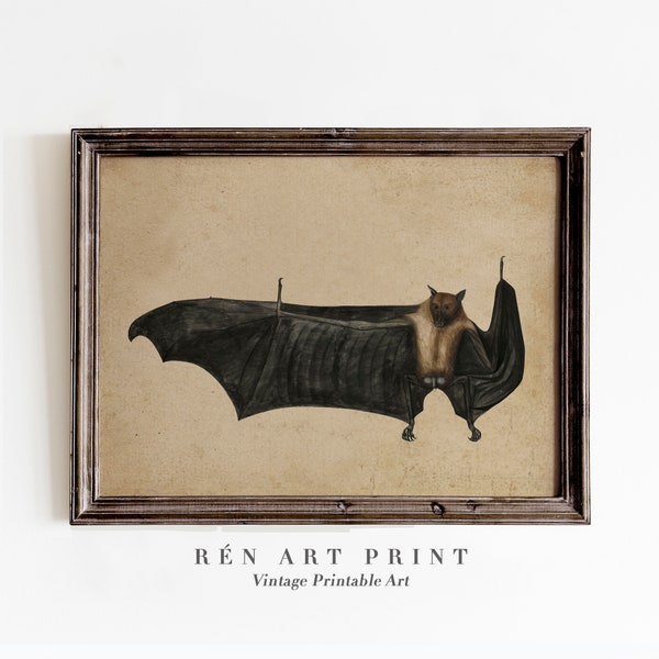 Antique Bat Painting | Digital Download | Vintage Gothic Wall Art | Bat Art Print | Dark Cottage Decor| Vampire Aesthetic Printable Wall Art