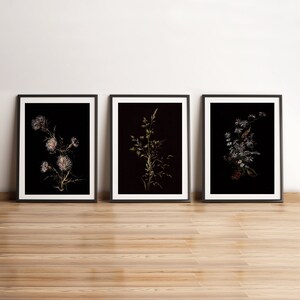 Dark Botanical Print Set: Moody Floral Gallery Wall Art (digital ...