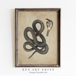 Vintage Snake Printable Art | Moody Dark Cottage Wall Decor | Black Cobra Painting Print | Halloween Wall Art | Vintage Gothic Digital Print
