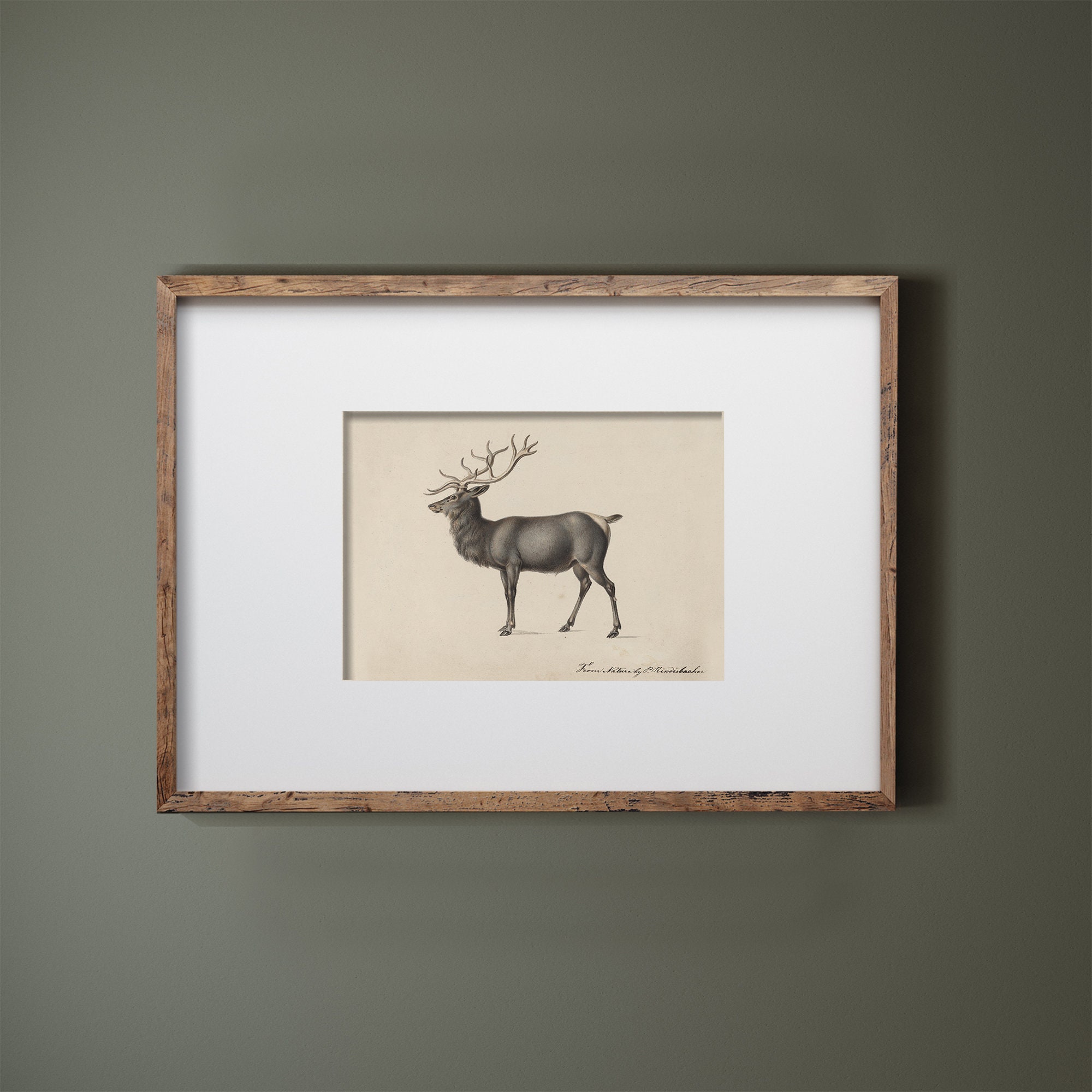 Vintage Reindeer Printable | Rustic Christmas Wall Art | Neutral Winter ...
