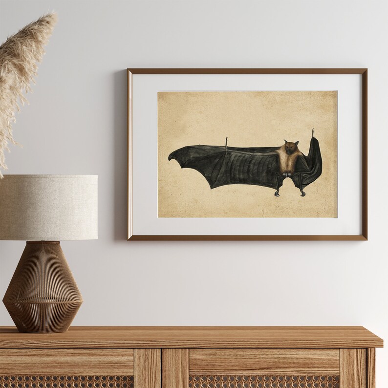 Antique Bat Art Print | Vintage Gothic Decor (digital Download) - Etsy