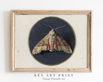impression d'art vintage de papillon de nuit | Dark Cottagecore Butterfly (téléchargement numérique)