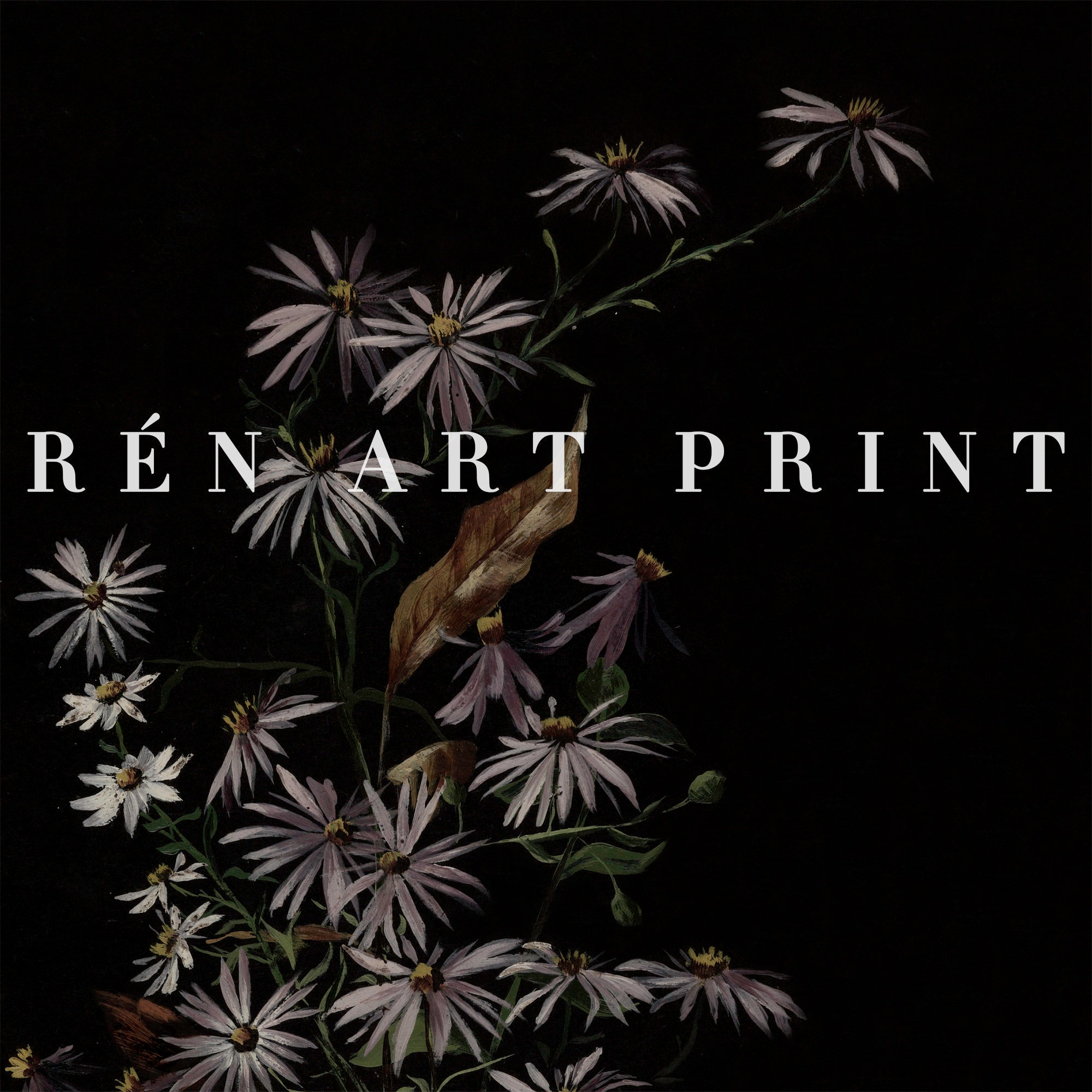 Dark Botanical Print Set: Moody Floral Gallery Wall Art (digital ...