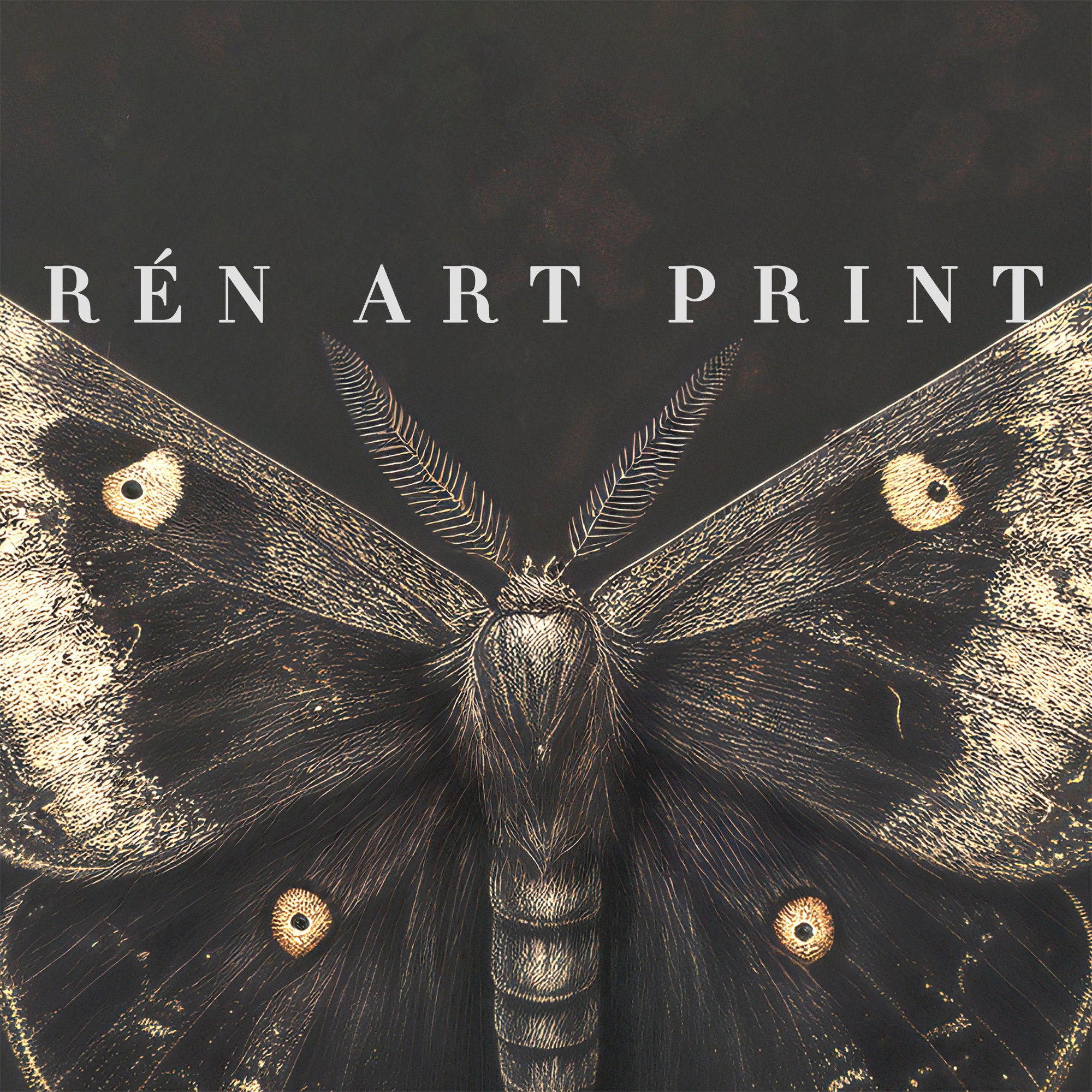 Gothic Insects Vintage Moth Art Print | Dark Gothic Insect Painting (digital Download ...