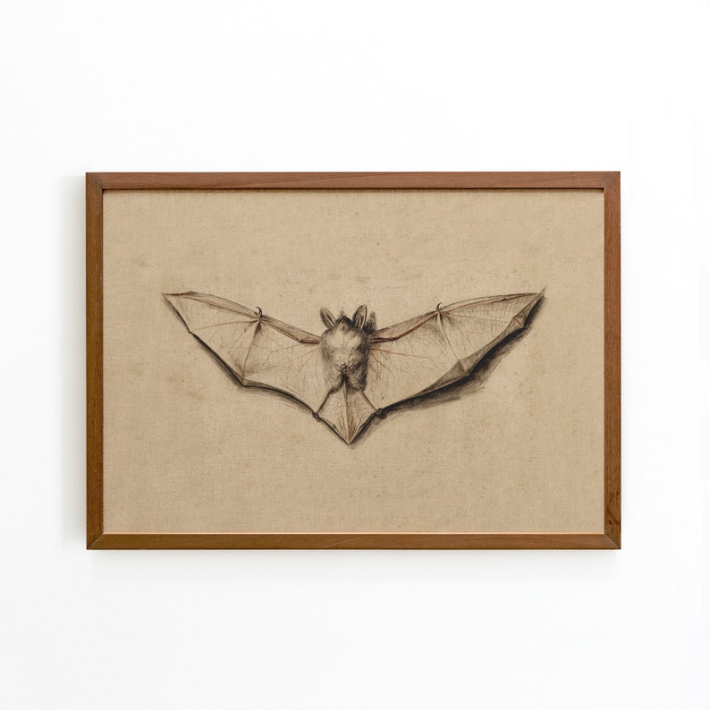 Vintage Bat Art Print | Antique Halloween Decor (digital Download) - Etsy