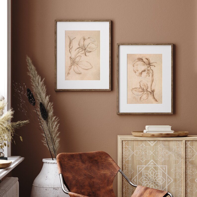 May include: Two framed black and white botanical illustrations of roses on a light brown wall. The frames are brown wood and the illustrations are on a cream background.