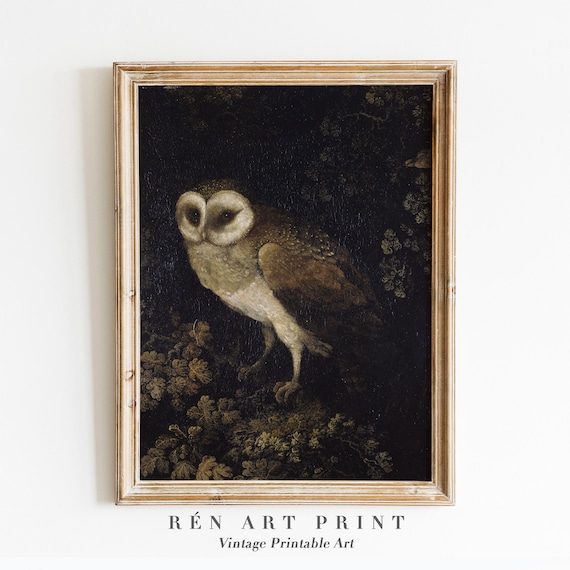 Antique Owl Painting Dark Academia PRINTABLE Wall Art - Etsy