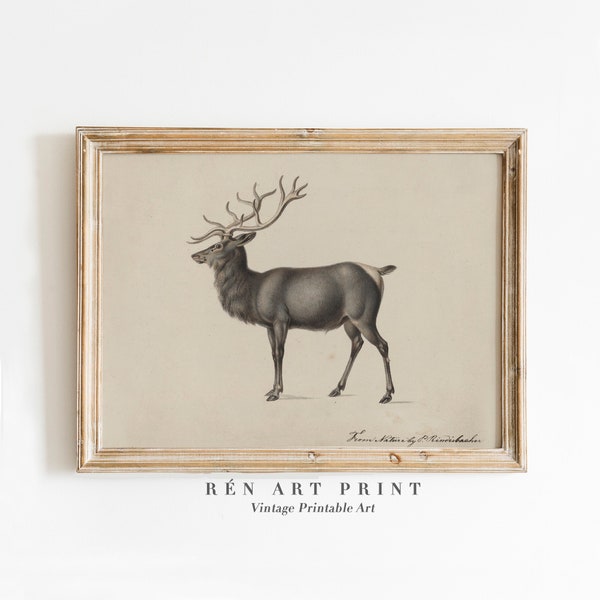 Vintage Reindeer Print | Rustic Christmas Printable Wall Art | Antique Animal Print | Nursery Christmas Wall Art | Kids Room Winter Print