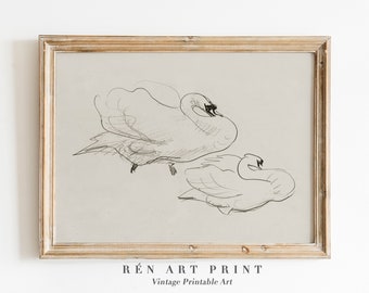 Vintage Swan Sketch Print | Antique Nursery Art (Digital Download)