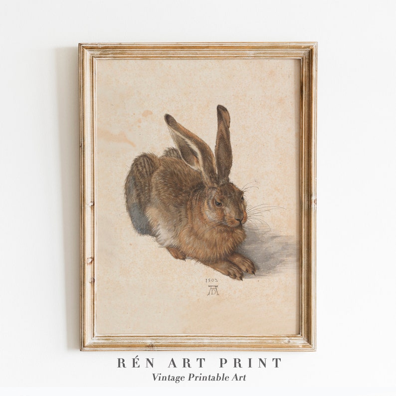 Pu&ograve; includere: Un'illustrazione vintage di una lepre marrone con orecchie lunghe, sdraiata su uno sfondo color crema. L'immagine &egrave; incorniciata in una cornice di legno chiaro. L'anno 1502 &egrave; scritto nell'angolo in basso a destra dell'immagine.