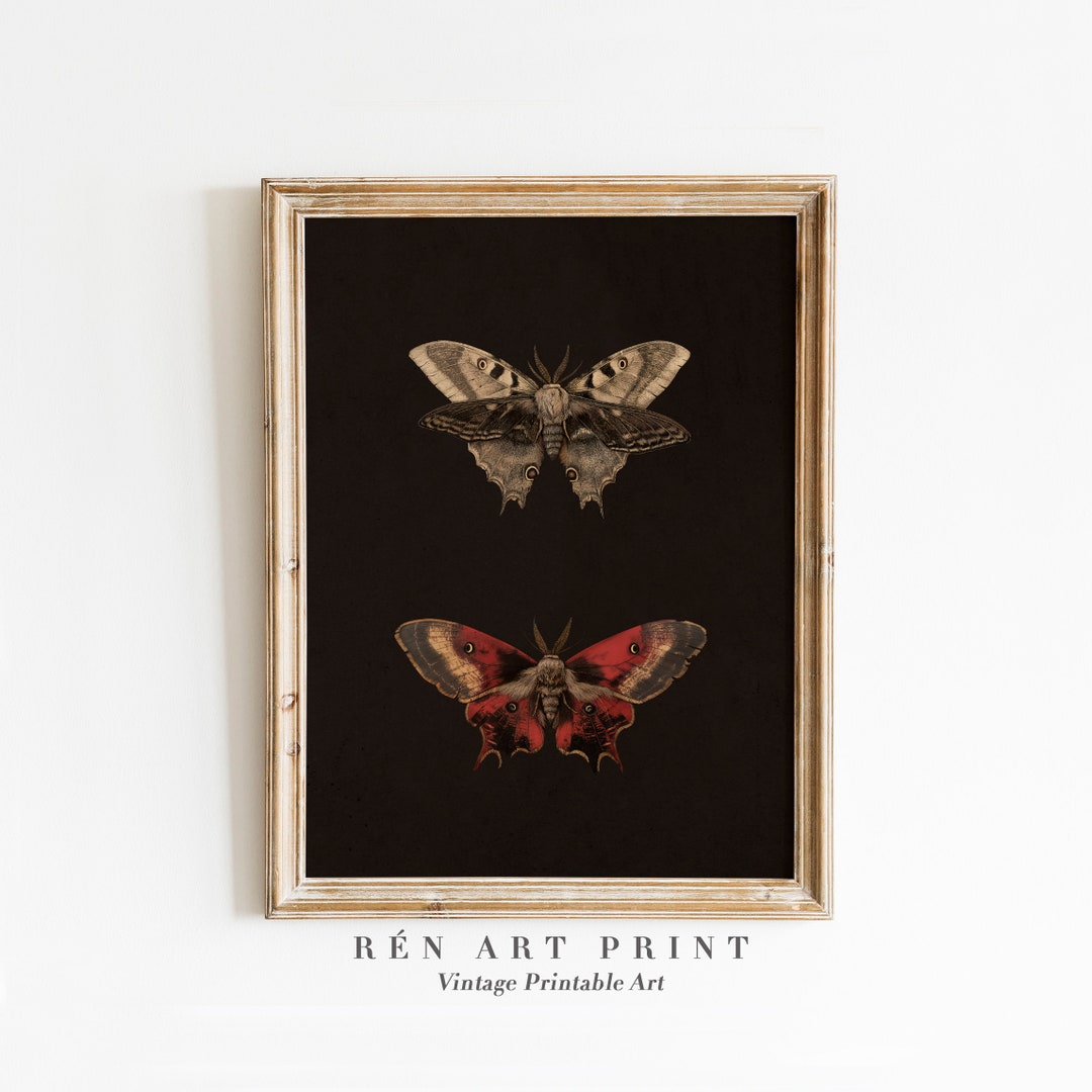 Antique Moody Moth Wall Art Butterfly Printable Wall Art Vintage Insect ...