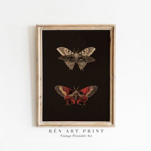Impressão artística vintage de mariposa | Decoração de Halloween estilo cottagecore sombrio (Download digital)