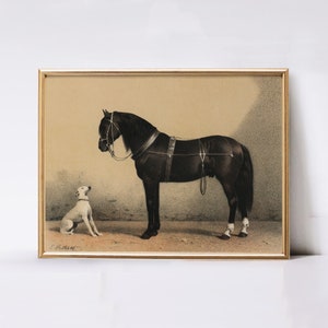Vintage Horse Print Digital Download Animal Farm Print Antique Nursery Wall Decor Printable Wall Art Dog and Black Horse Painting image 6