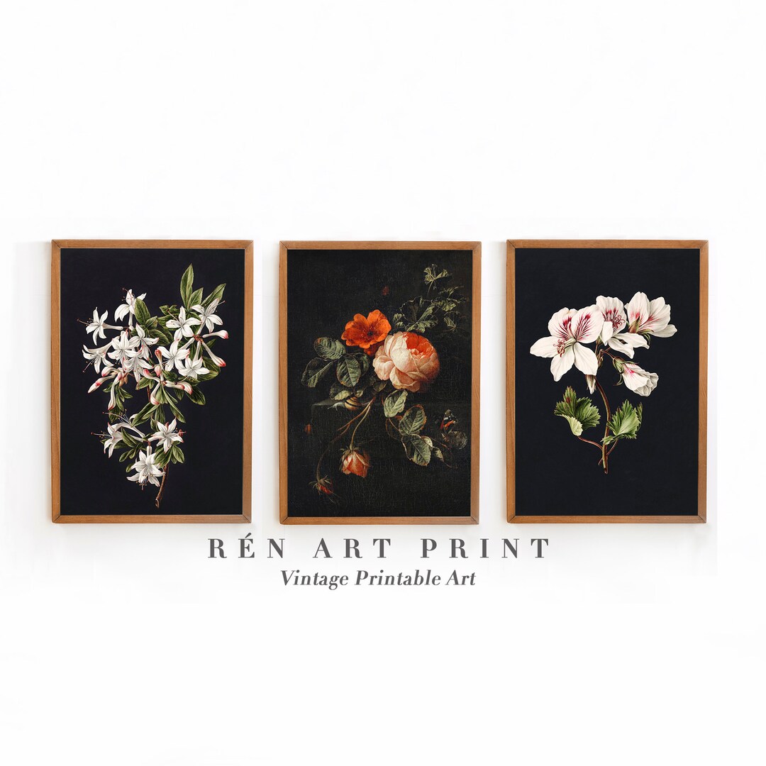 Dark Floral Botanical Print Set | Moody Academia Wall Art (digital ...