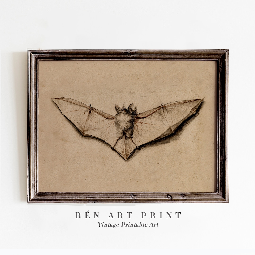 Vintage Bat Art Print | Antique Halloween Decor (digital Download) - Etsy
