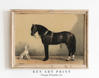 May include: A vintage print of a black horse with a harness and a white dog sitting in front of it. The print is framed in a light wood frame.