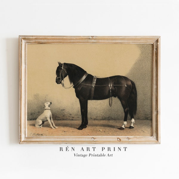 Vintage Horse Print Digital Download | Animal Farm Print | Antique Nursery Wall Decor | Printable Wall Art | Dog and Black Horse Painting