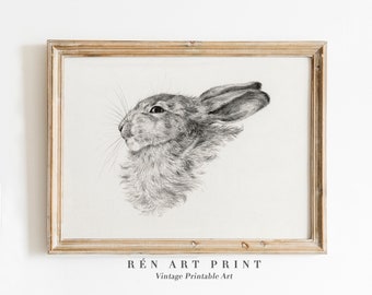 Antique Rabbit Sketch | Vintage Bunny Nursery Art (Digital Download)