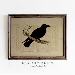 Antique Raven Print | Digital Download | Vintage Crow Drawing Printable Art | Dark Academia Wall Decor| Gothic Wall Art| Moody Cottage Print