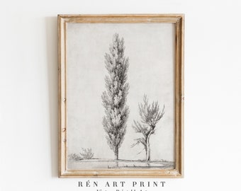 Rustic Draw Rustic Landscape Drawing PRINTABLE / Spruce Tree Sketch Print / Neutral ...