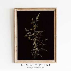 Dark Botanical Print | Moody Floral Printable Art | Digital Download | Dark Academia Decor | Moody Wall Art | Vintage Digital Print