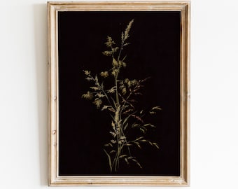 Dark Botanical Print | Moody Floral Printable Art | Digital Download | Dark Academia Decor | Moody Wall Art | Vintage Digital Print