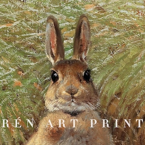 May include: A close-up of a brown rabbit with large ears, looking directly at the viewer. The rabbit is in a field of green grass.