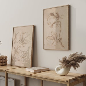 May include: Two framed botanical illustrations of flowers in shades of brown on a white wall. The frames are simple and wooden. A wooden shelf with a book and a white ceramic vase with dried pampas grass sits below the frames.