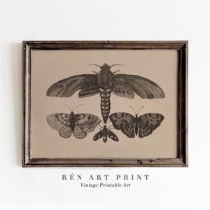 Moody Moth and Butterfly Print | Digital Download | Antique Dark Cottage Sketch Wall Art | Vintage Butterfly Chart Printable  Wall Art