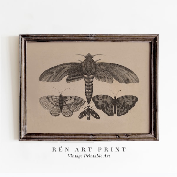 Stimmungsvolle Motte und Schmetterling Print | Digitaler Download | Antique Dark Cottage Sketch Wandkunst | Vintage Schmetterlings-Diagramm druckbare Wandkunst