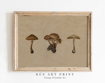 Vintage Mushroom Print | Farmhouse Kitchen Cottagecore Wall Art (Digital Download)
