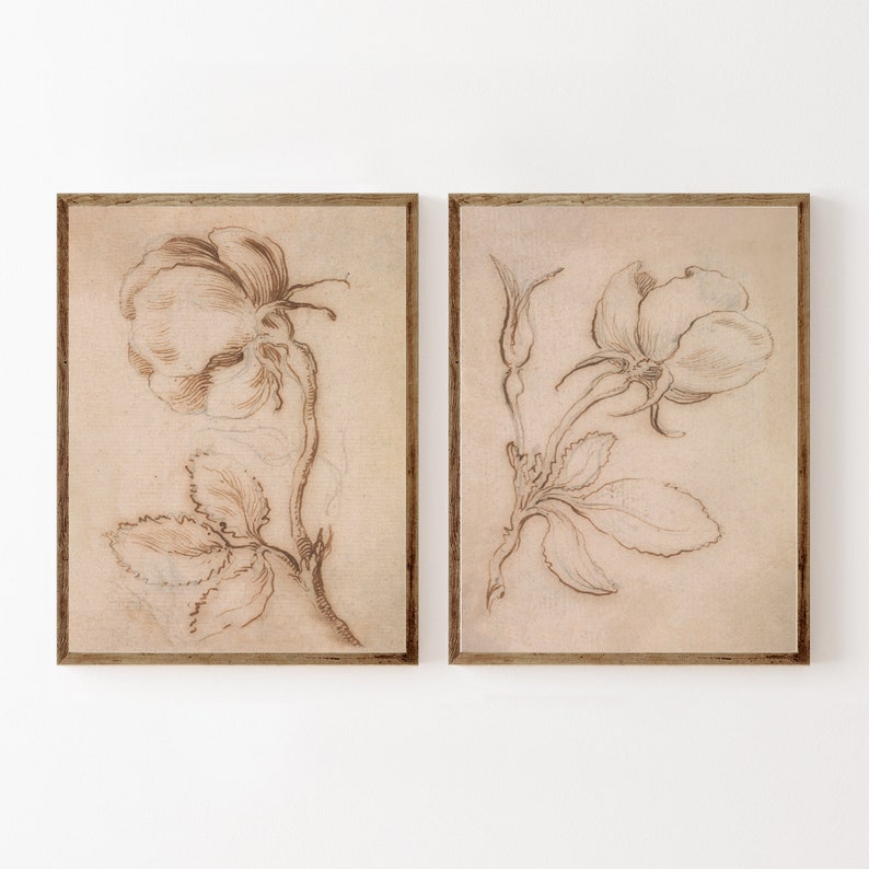 May include: Two framed prints of black and white line drawings of roses on a beige background.