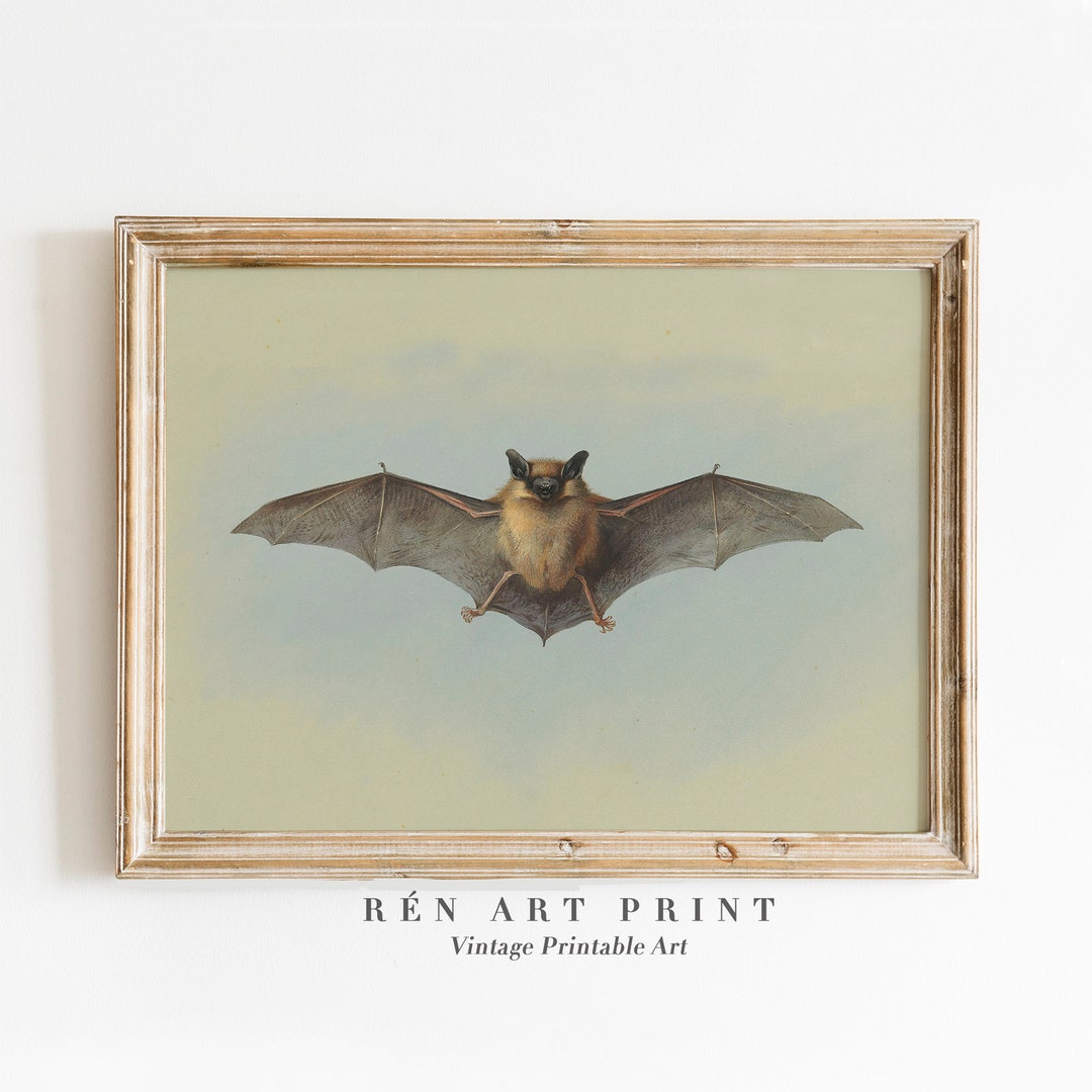 Vintage Bat Art Print | Antique Halloween Decor (digital Download) - Etsy
