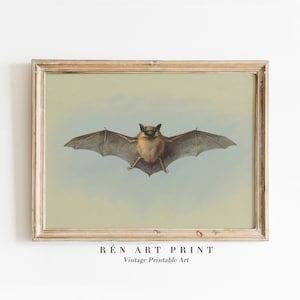 Vintage Bat Print | Antique Halloween Wall Art | Dark Moody Bat Art Print | Spooky Wall Decor | Bat Printable Art Dark Art DIGITAL Download