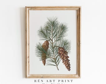 May include: Framed vintage art print featuring a detailed illustration of pine needles and pine cones. The artwork is in a wooden frame with a light-colored finish. The text "RÉn Art Print Vintage Printable Art" is at the bottom.