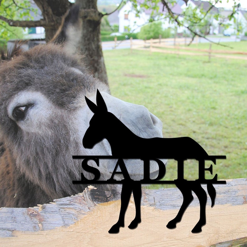 May include: Black silhouette of a donkey with the name "SADIE" split in half by the donkey's body. The donkey is standing on a wooden fence. A real donkey is looking at the silhouette.