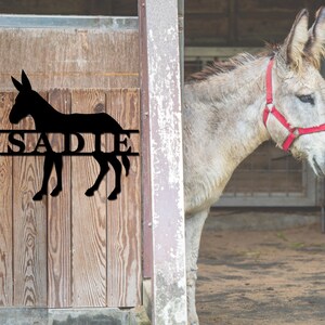 May include: Black metal silhouette of a donkey with the name "SADIE" written across the middle. The silhouette is mounted on a wooden stall door. A real donkey is standing in the background.
