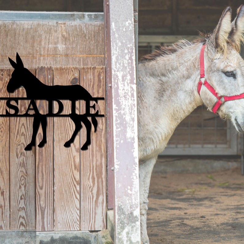 May include: Black metal silhouette of a donkey with the name "SADIE" written across the middle. The silhouette is mounted on a wooden stall door. A real donkey is standing in the background.